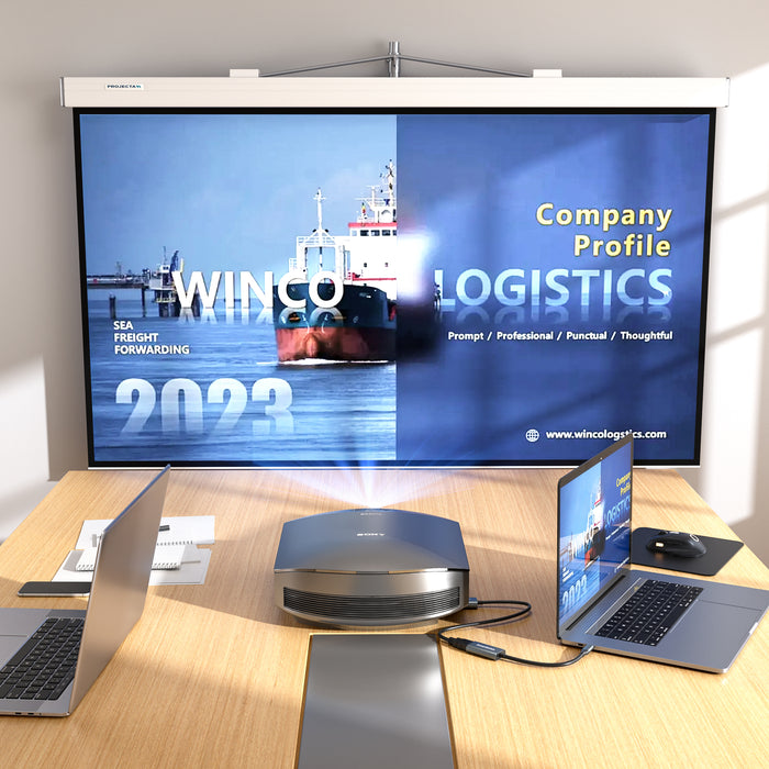 DriverGenius Inferno X43 Core | USB-C to 4K/30Hz HDMI Adapter - UC2HD430-M2, 2 Pack